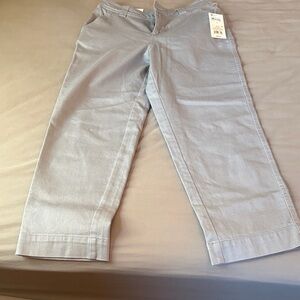 NWT A new day Light Gray High-Rise Crop Trousers